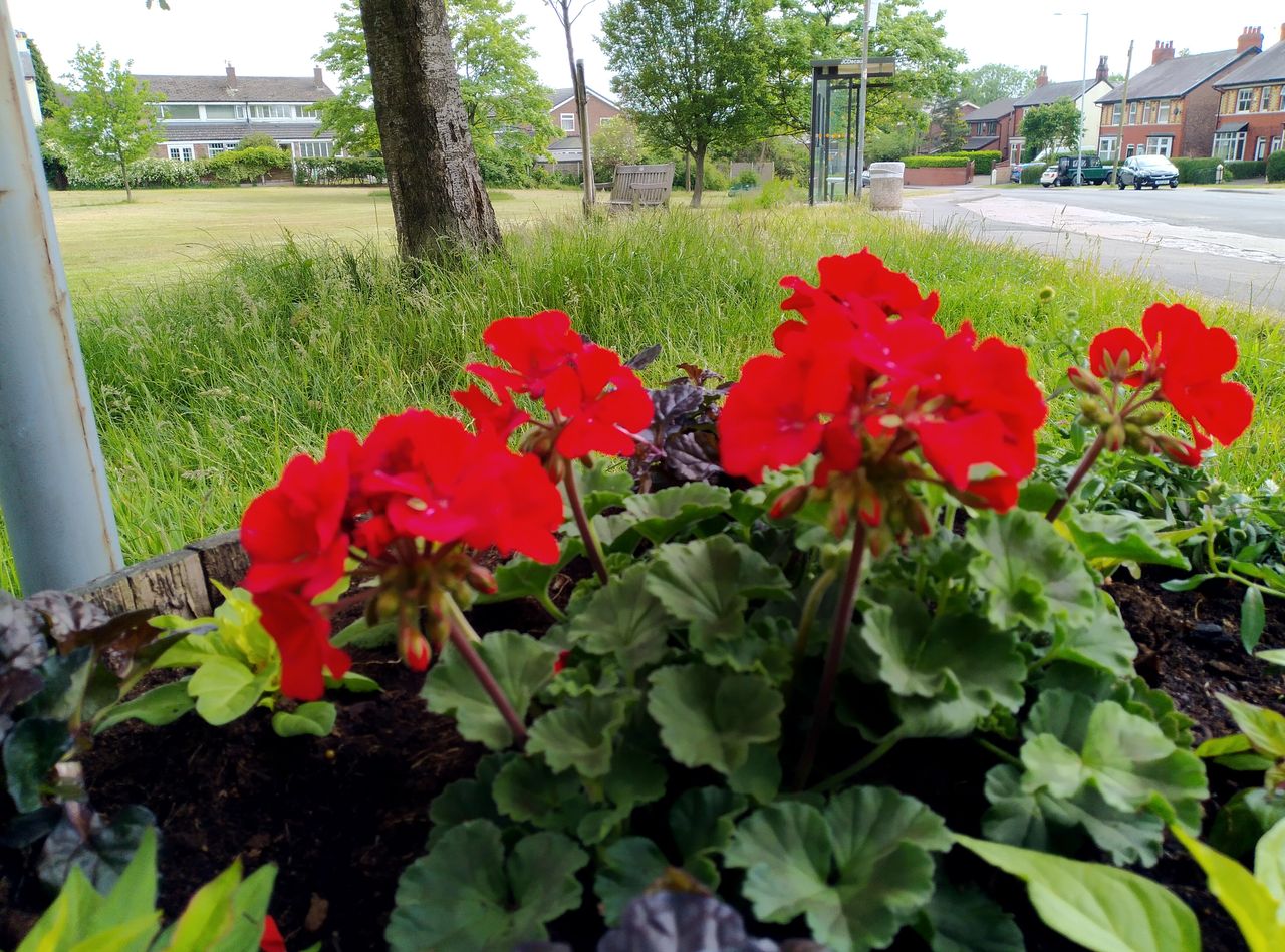 Nokia 5.3 camera sample