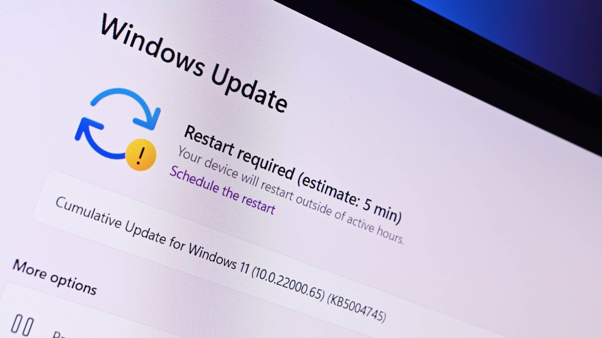 Windows 11 Update in Settings app