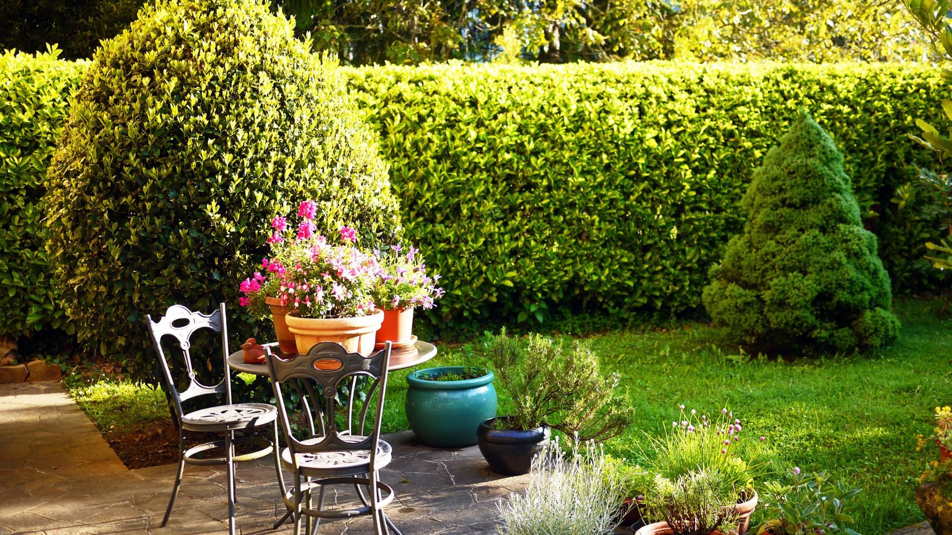 picture of a garden with bistro set and potted plants