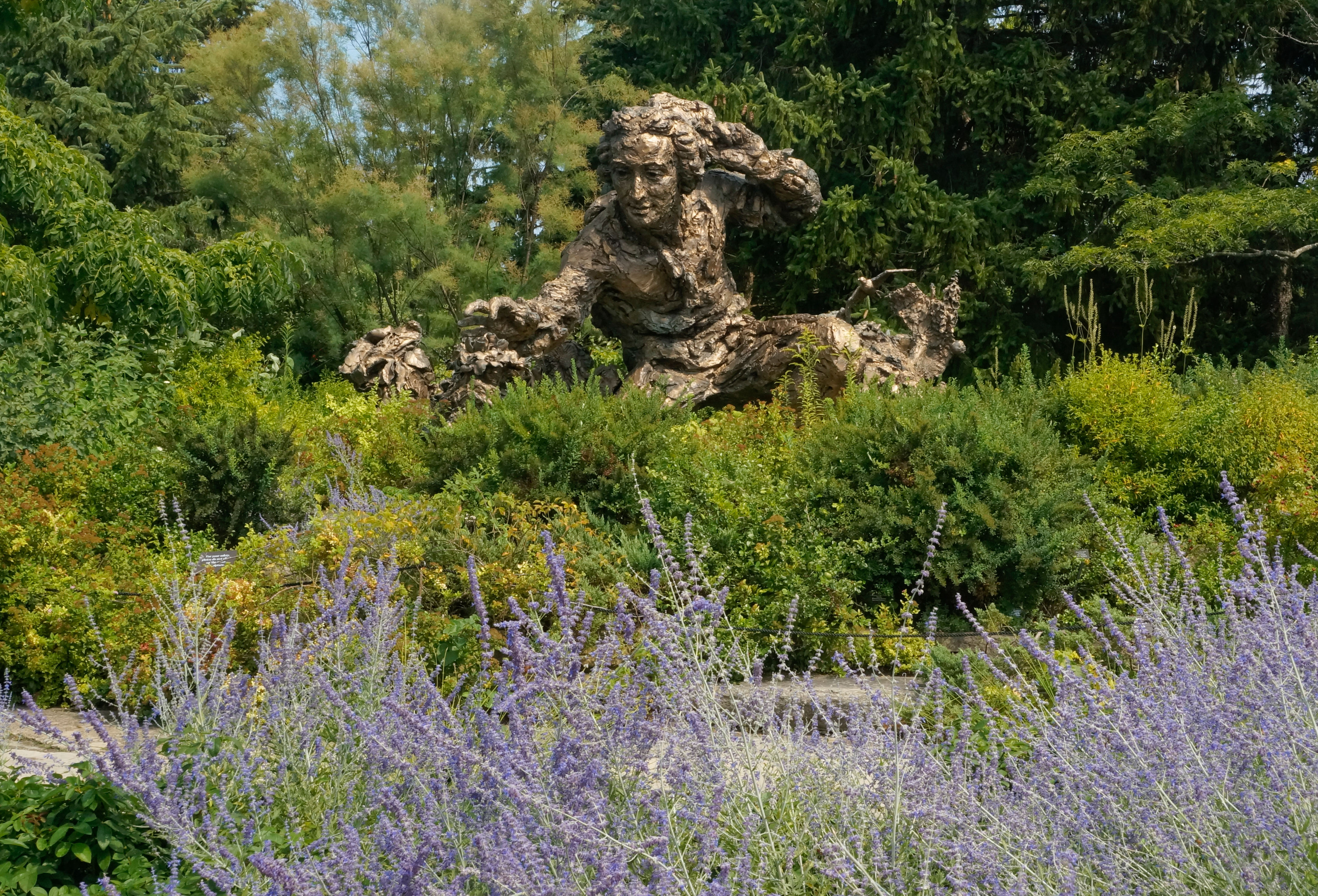 Carl Linnaeus (Carl von Linne) sculpture in the Heritage Garden at the Chicago Botanic Garden.