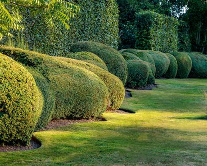 5 Clever Design Tricks To Steal From This Large English Garden 