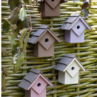 birdboxes with conker brown colour