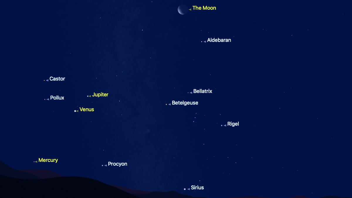 A simulation of the night sky showing the positions of planets and prominent stars for the night of Aug. 17. Mercury, Venus, Jupiter and the moon form a diagonal line above the horizon.