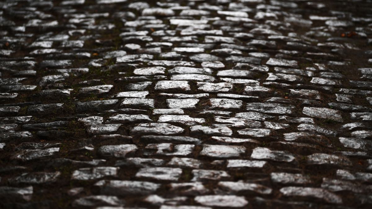 The cobbles of the Arenberg Forest in Paris-Roubaix