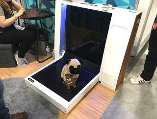 Smart Dog Toilet