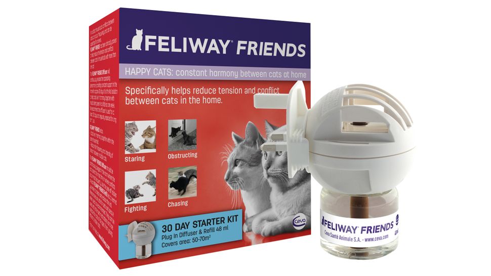 Feliway explained How Feliway can help stressed cats PetsRadar