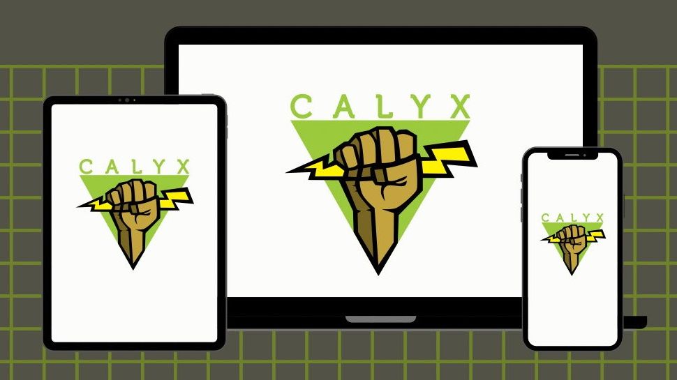 is calyx vpn safe?