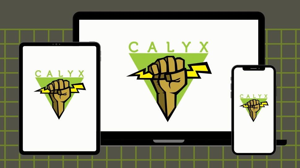 Calyx Institute logo