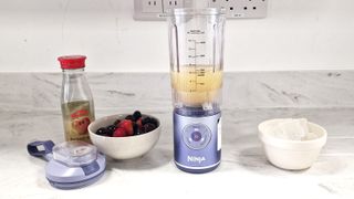 Ninja Blast Max review