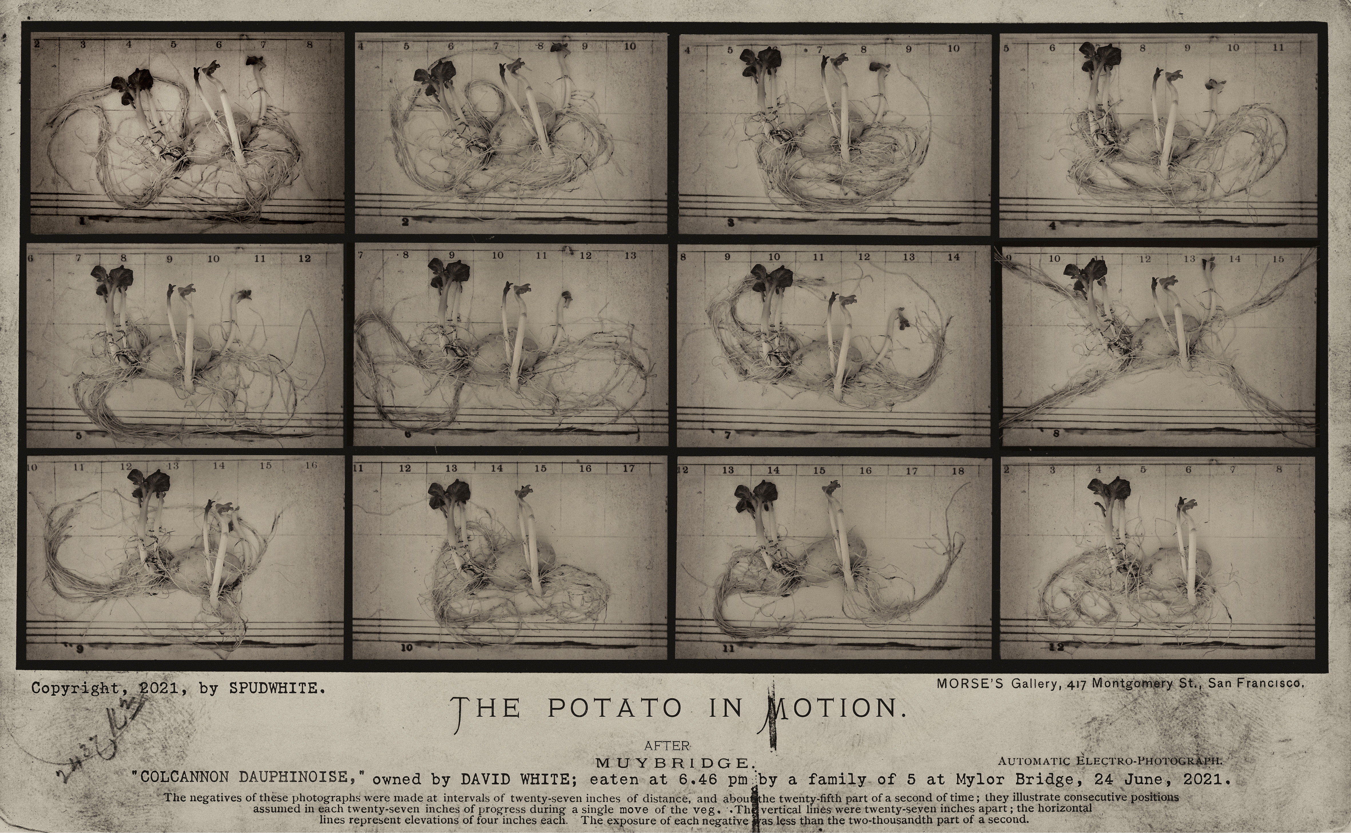 A potato photographed at 1-millisecond intervals