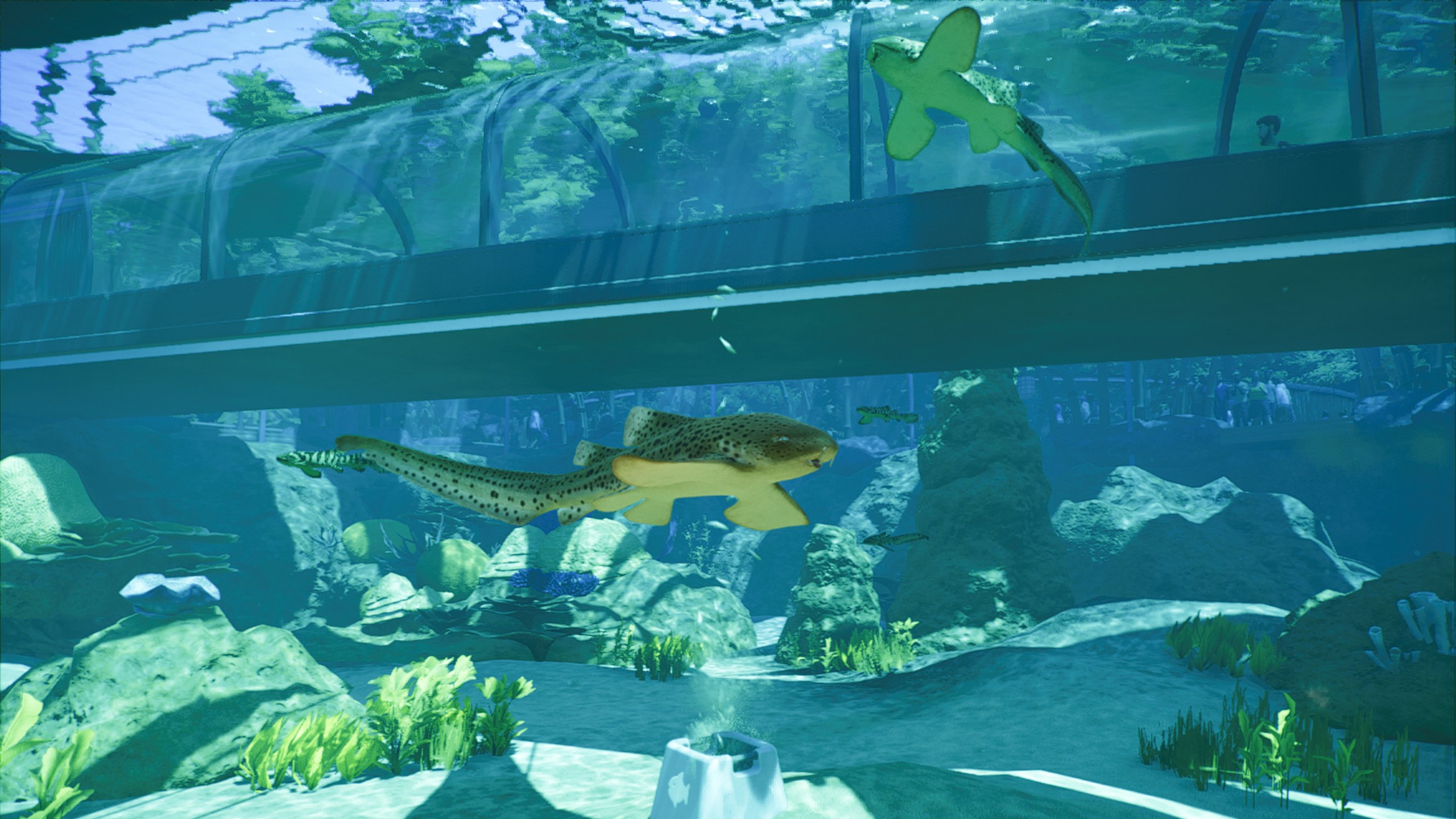 A shoal of leopard sharks swimming in front of a underwater tunnel in Planet Zoo 2.