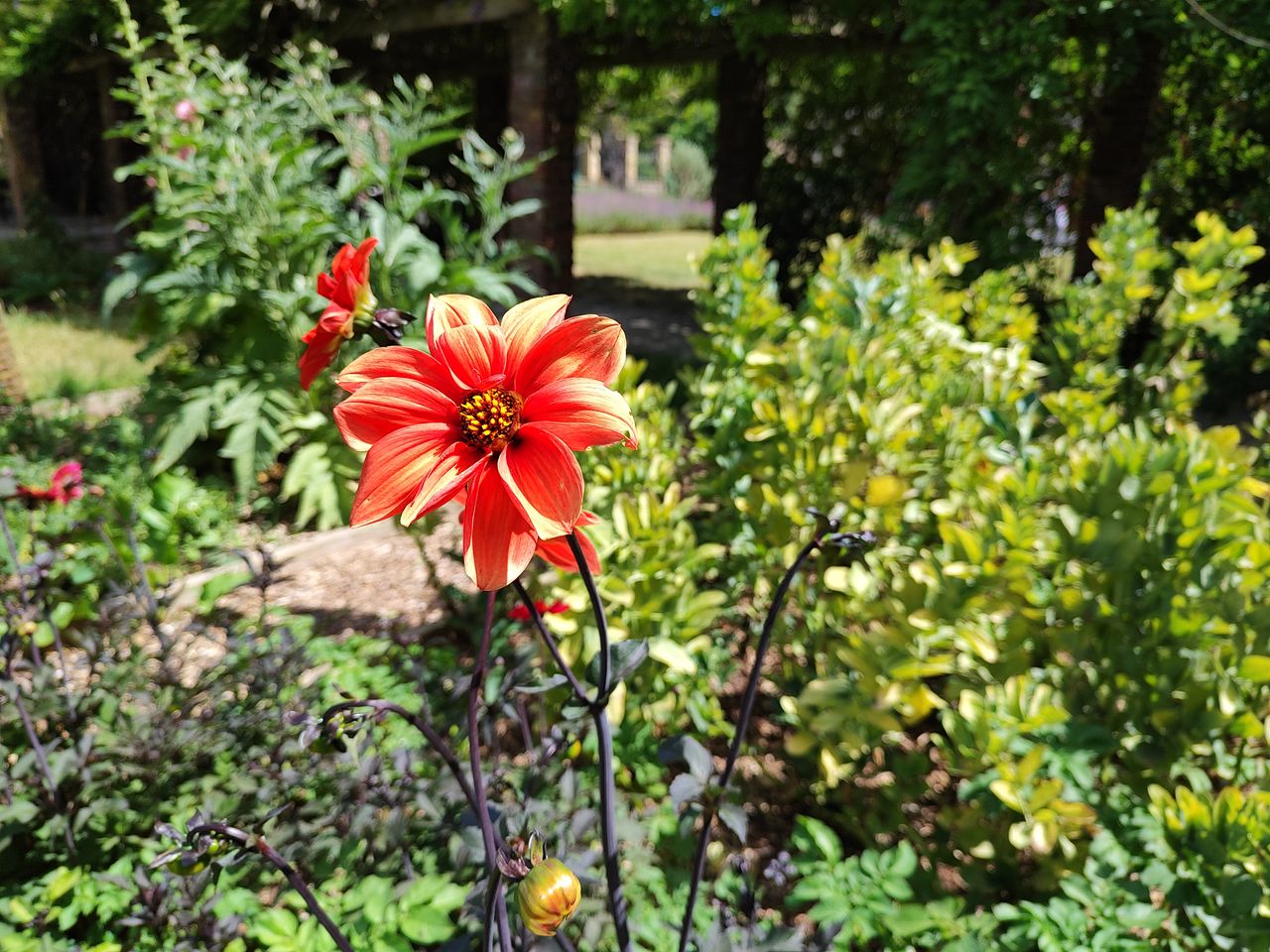 Photo captured on Xiaomi 12 Lite smartphone