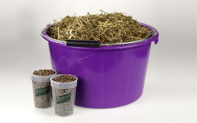Bucket-of-chaff-&amp;amp;-2-Lo-Cal-mugs