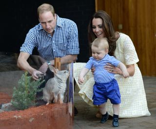 Prince William wearing a blue checked shirt kneeling down in front of a bilby enclosure with a cup of food while Kate Middleton, in a yellow dress, holds baby Prince George who is standing up in blue shorts