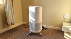 Honeywell Designer Series air purifier standing in a corner of a sunlit room