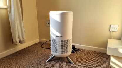 Honeywell Designer Series air purifier standing in a corner of a sunlit room
