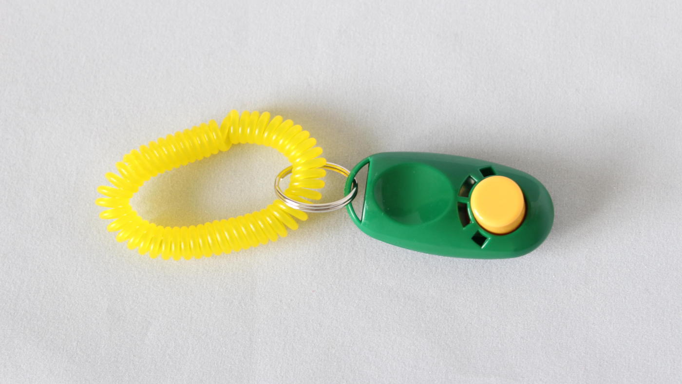 How to clicker train a horse, with a clicker