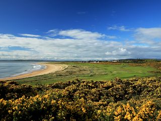 Royal Dornoch Golf Club Championship Course Pictures