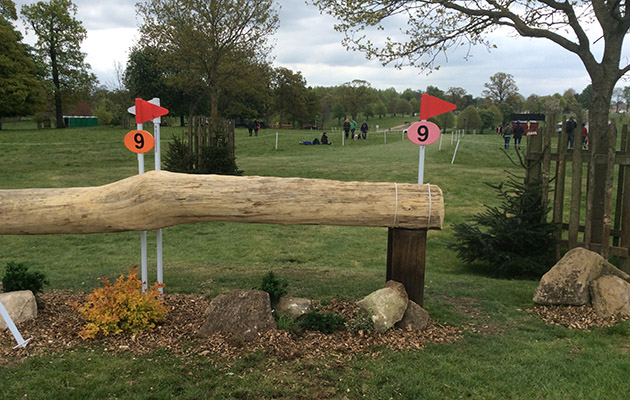 Fence nine