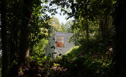A modern, white house, with floor-to-ceiling windows, sits in the middle of a forest.