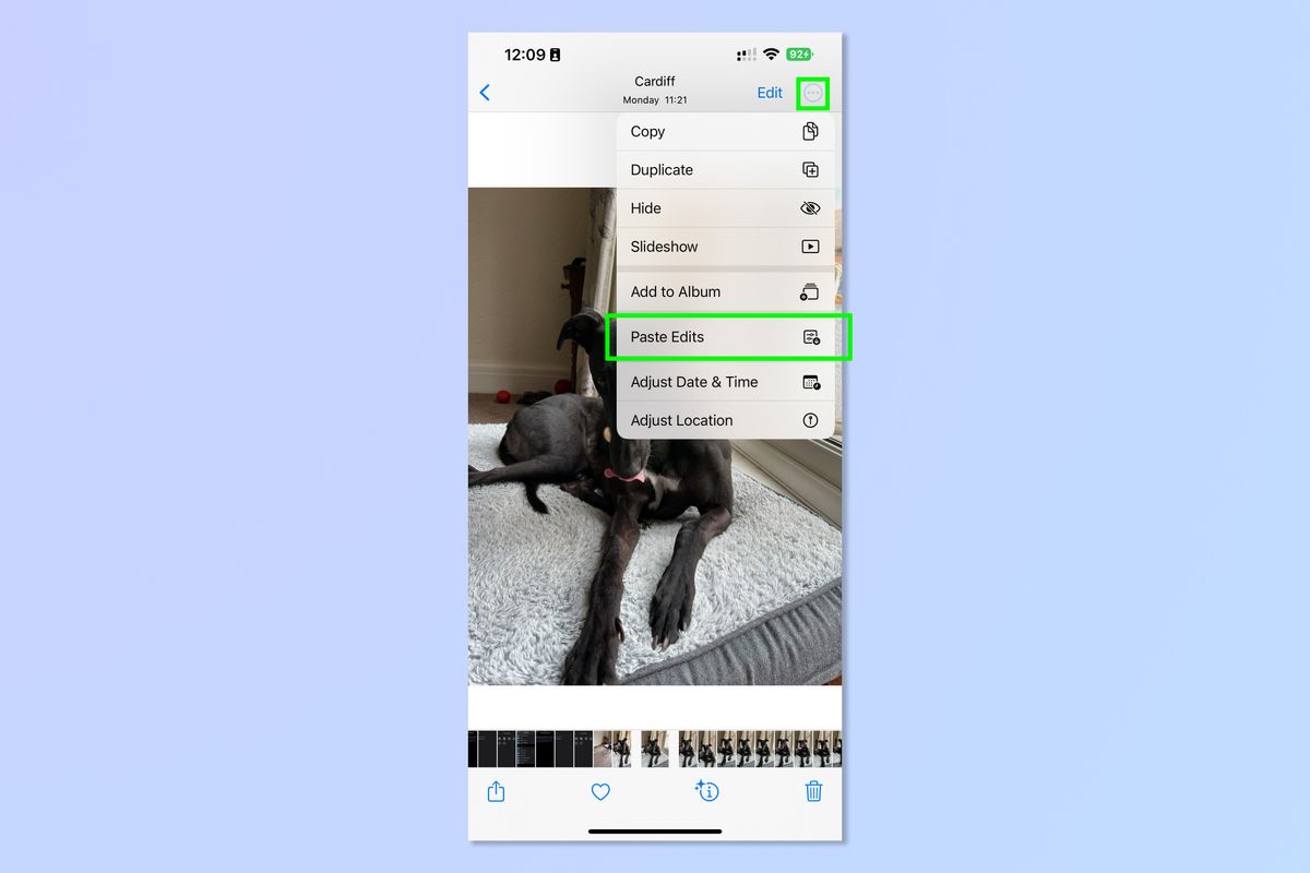How to copy and paste edits on iOS Photos Tom's Guide