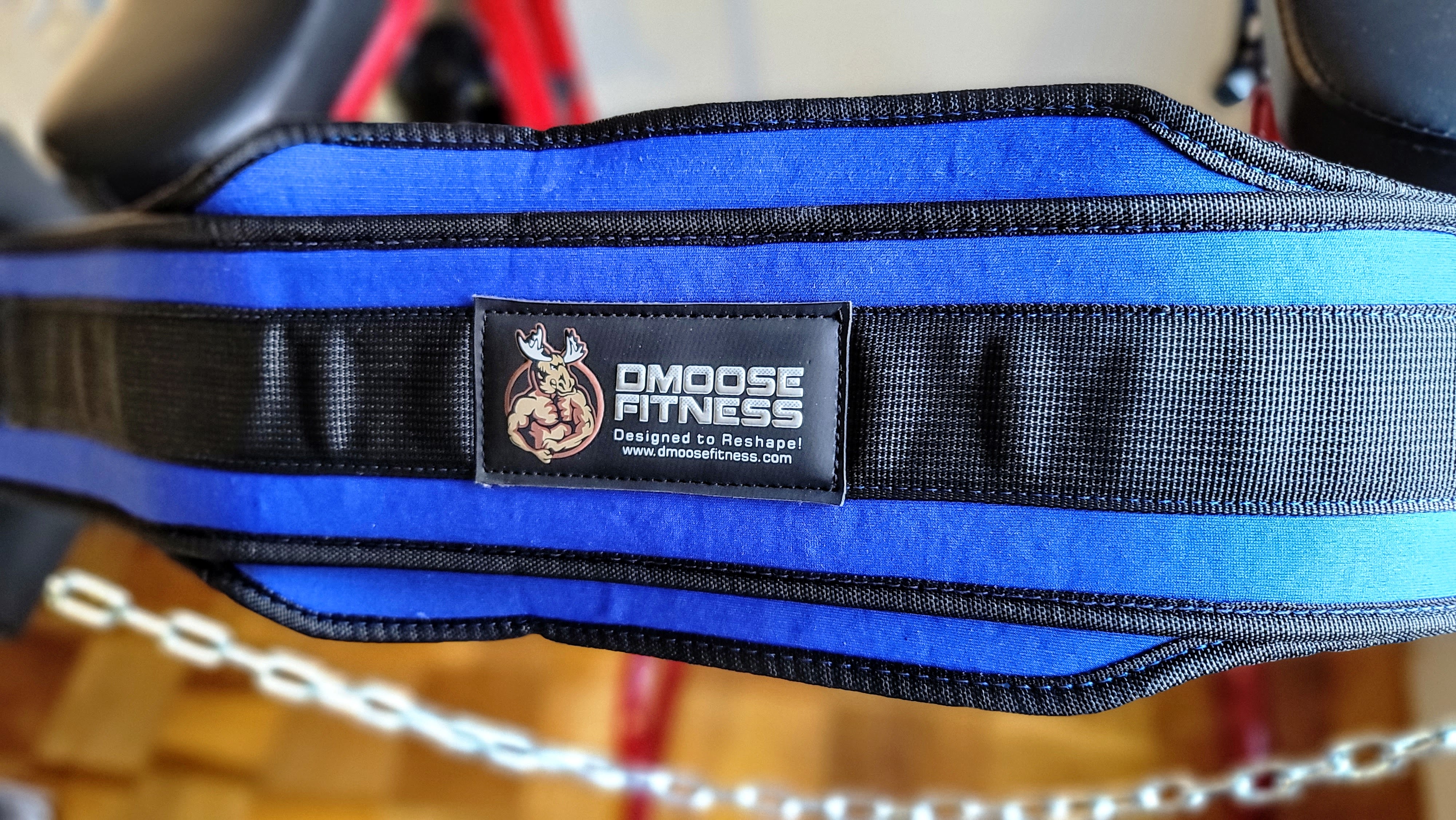 A photo of the DMoose Fitness dips belt