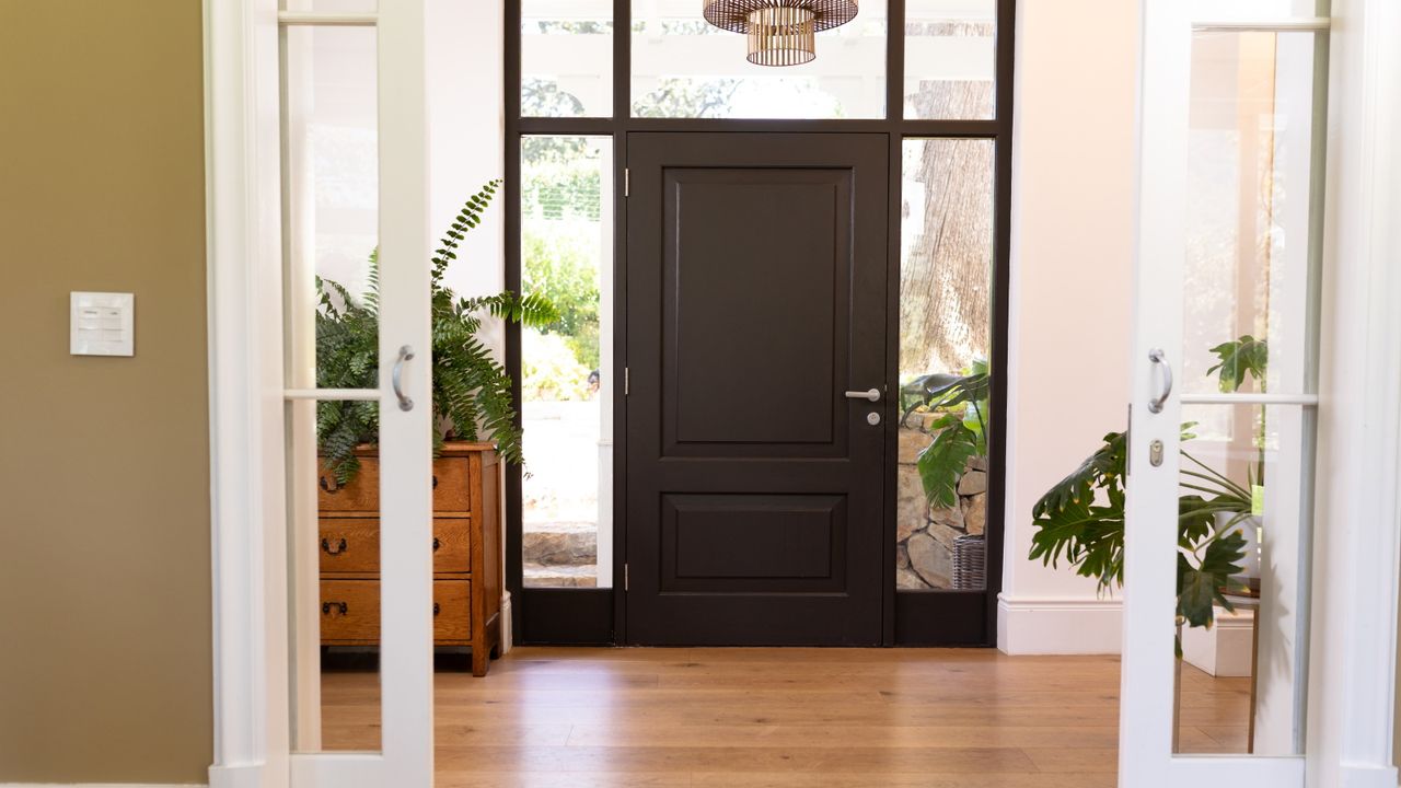 houseplants you should never place in your entryway