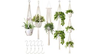 hanging planter