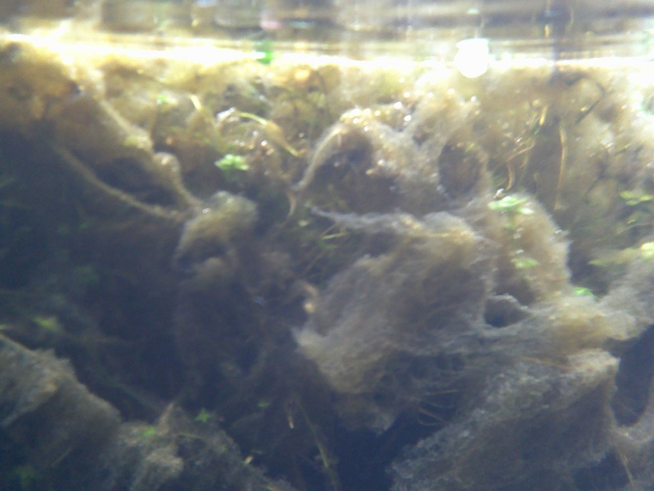 Polaroid Wave example image