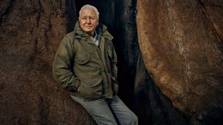 Sir David Attenborough, host of 'The Green Planet'. - How to watch 'The Green Planet' online.
