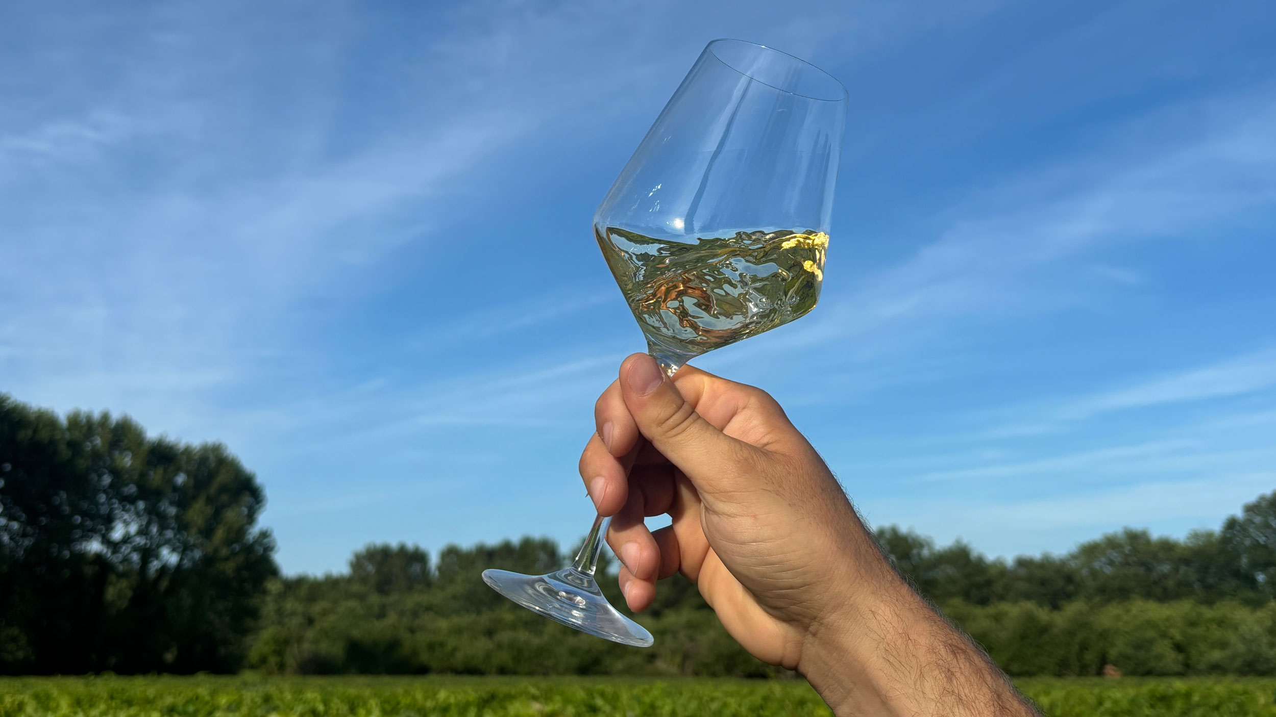 A glass of white wine held up to the sky