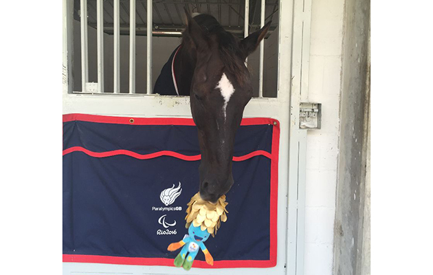 Reece in his Paralympic stable