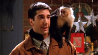 Ross (David Schwimmer) is shown with Marcel the Monkey on his shoulder on Friends' first season.