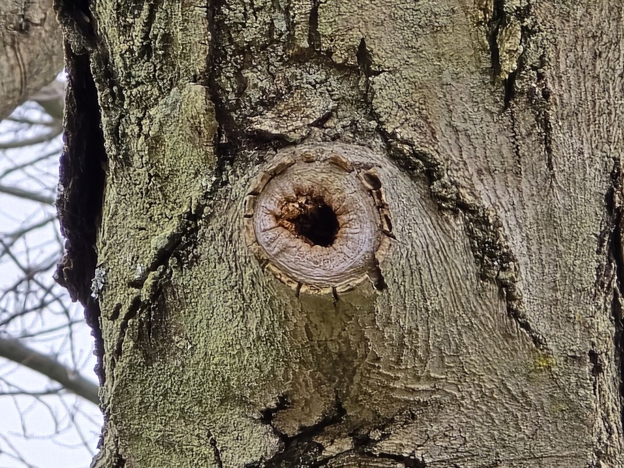 Samsung Galaxy S24 Ultra zoom camera sample.