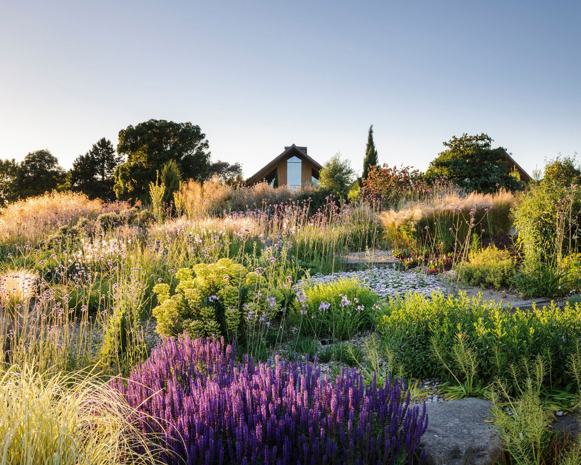 Naturalistic planting in dry garden at RHS Hyde Hall