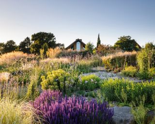 Naturalistic planting in dry garden at RHS Hyde Hall