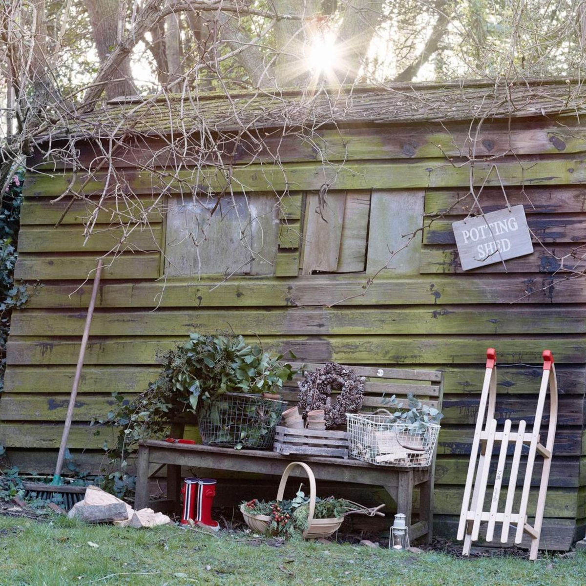 Travaux à faire dans le jardin en décembre 