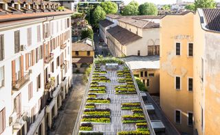 Vibrant botanical installation atop Piuarch's rooftop