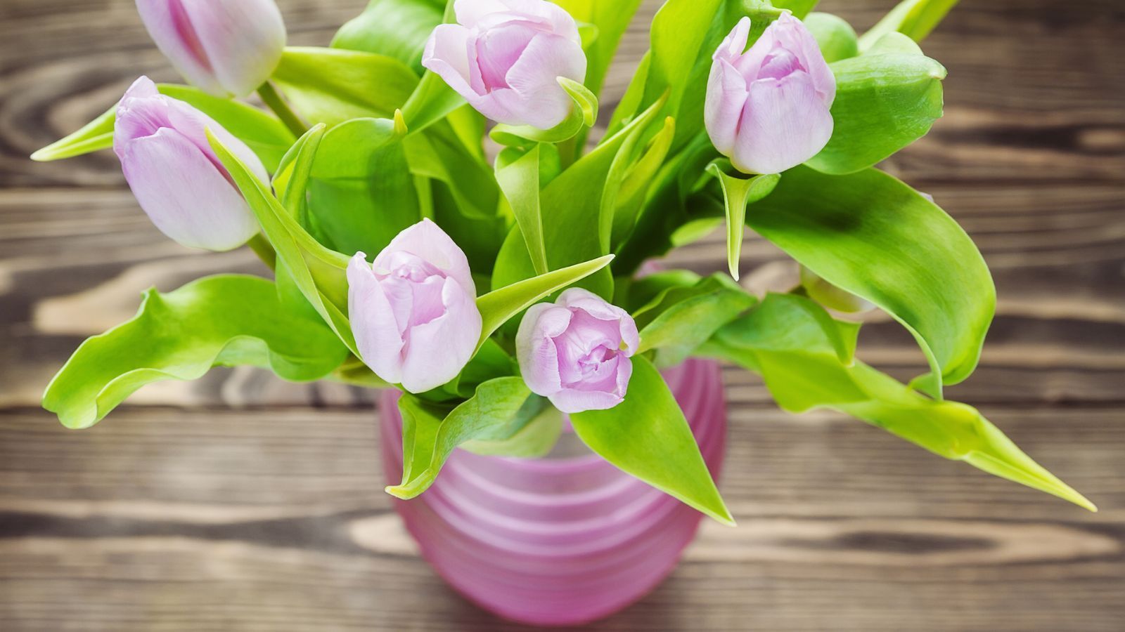 How to revive flowers in a vase? An expert florist explains Homes