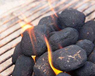 briquette charcoal for BBQ