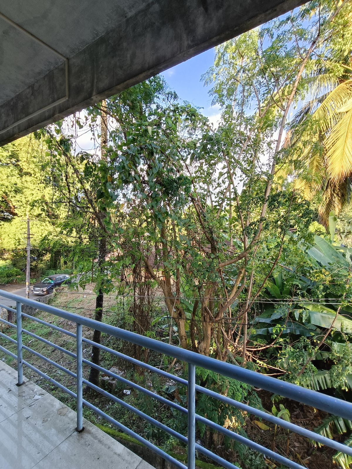 oppo reno 8 camera samples