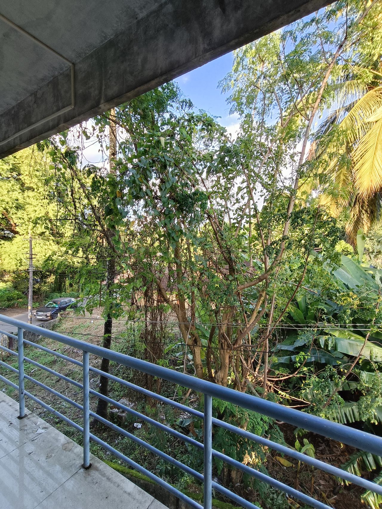 oppo reno 8 camera samples