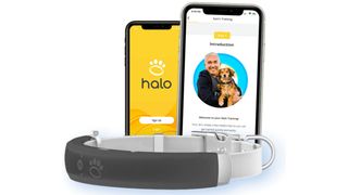 Halo dog collar is billed as the Apple Watch for dogs and consists of a smart collar and app