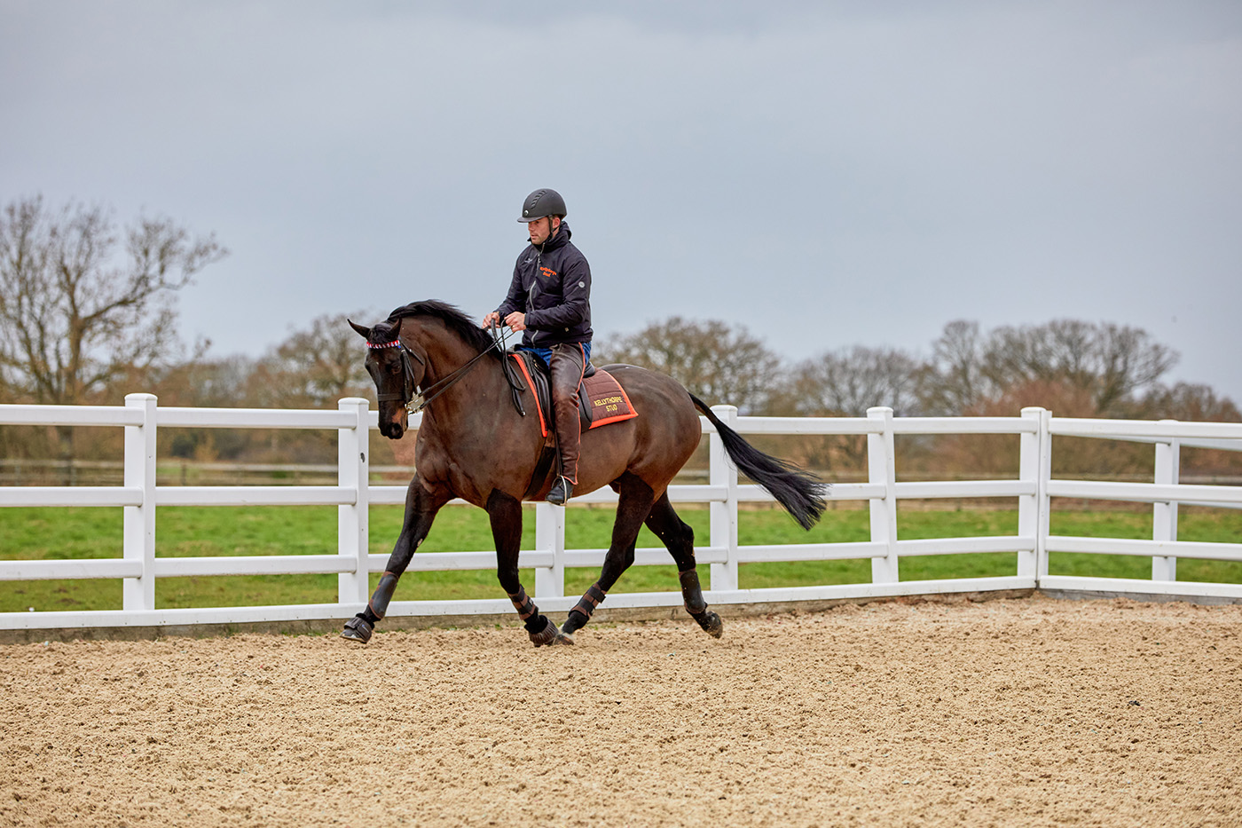 Interview Shoot, Leesha Leeman at Kellythorpe Stud