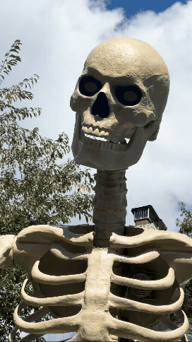 Home Depot Skeleton head moving