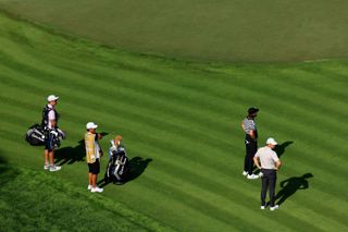 Tommy Fleetwood and Rory McIlroy wait in the fairway