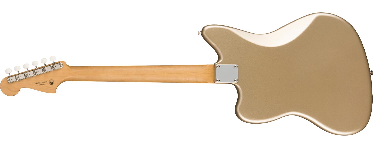 Fender Gold Foil Limited Edition Series