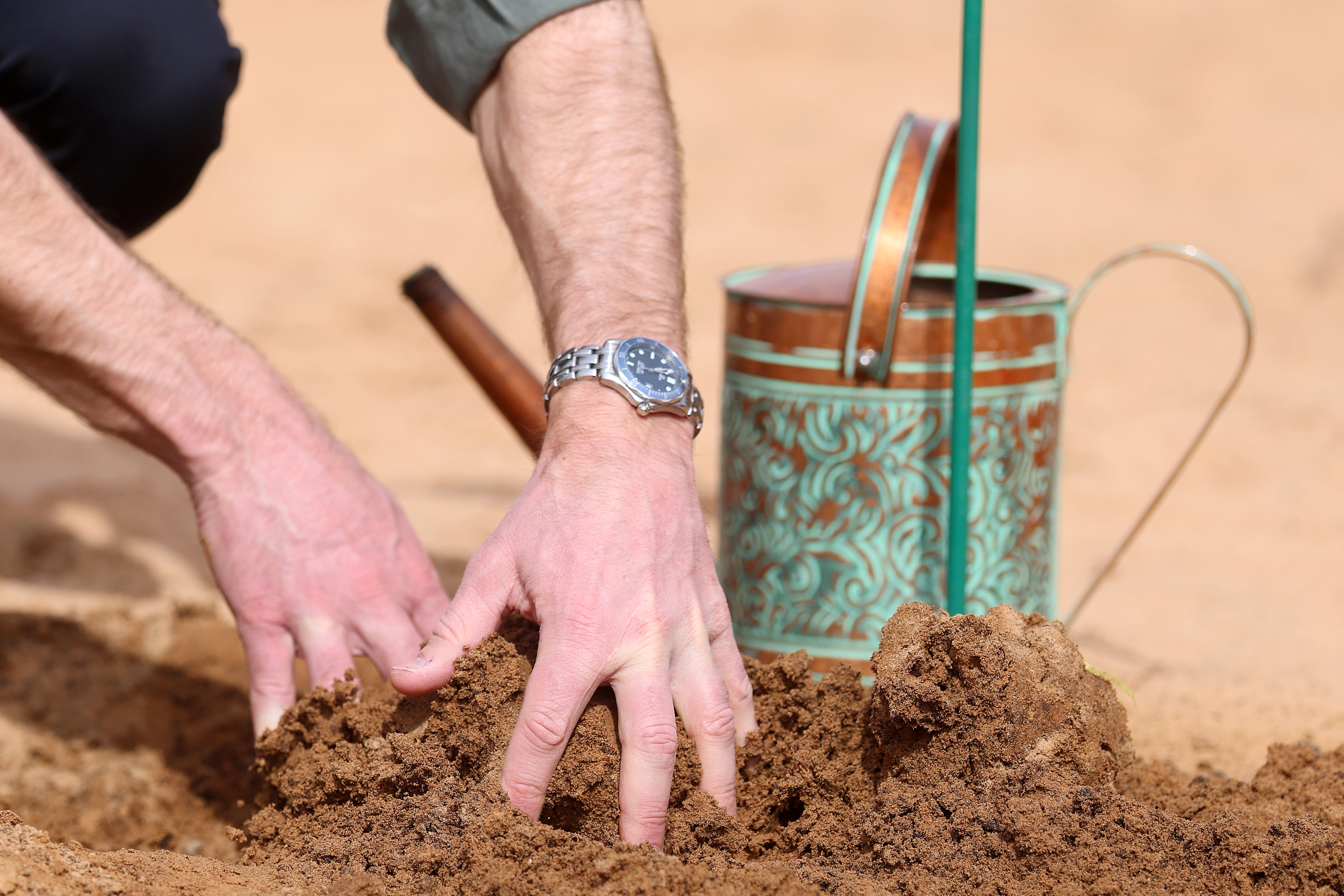 ALULA, SAUDI ARABIA - FEBRUARY 11: Prince William, Prince of Wales plants an acacia tree on the third day of his first official visit to Saudi Arabia at Sharaan Nature Reserve on February 11, 2026 in AlUla, Saudi Arabia. Sharaan Nature Reserve is a protected area that covers over 1,500km&amp;sup2; and is one of six nature reserves in AlUla. (Photo by Chris Jackson/Getty Images)