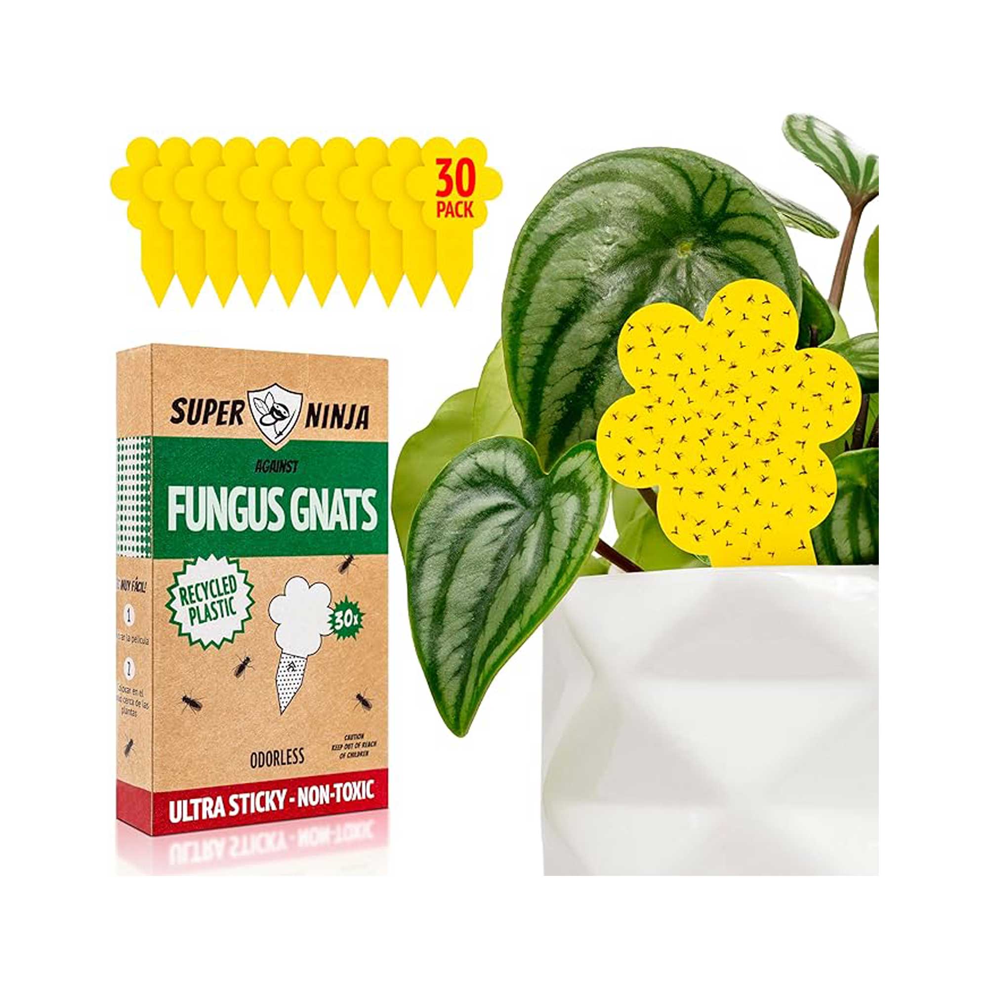 Super Ninja fungus gnats sticky traps