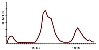 This epidemic curve shows the first three spikes of the 1918 influenza pandemic. The second wave, which hit in September and October 1918, resulted in more than 200,000 deaths. A smaller third wave followed the winter holidays in early 1919.